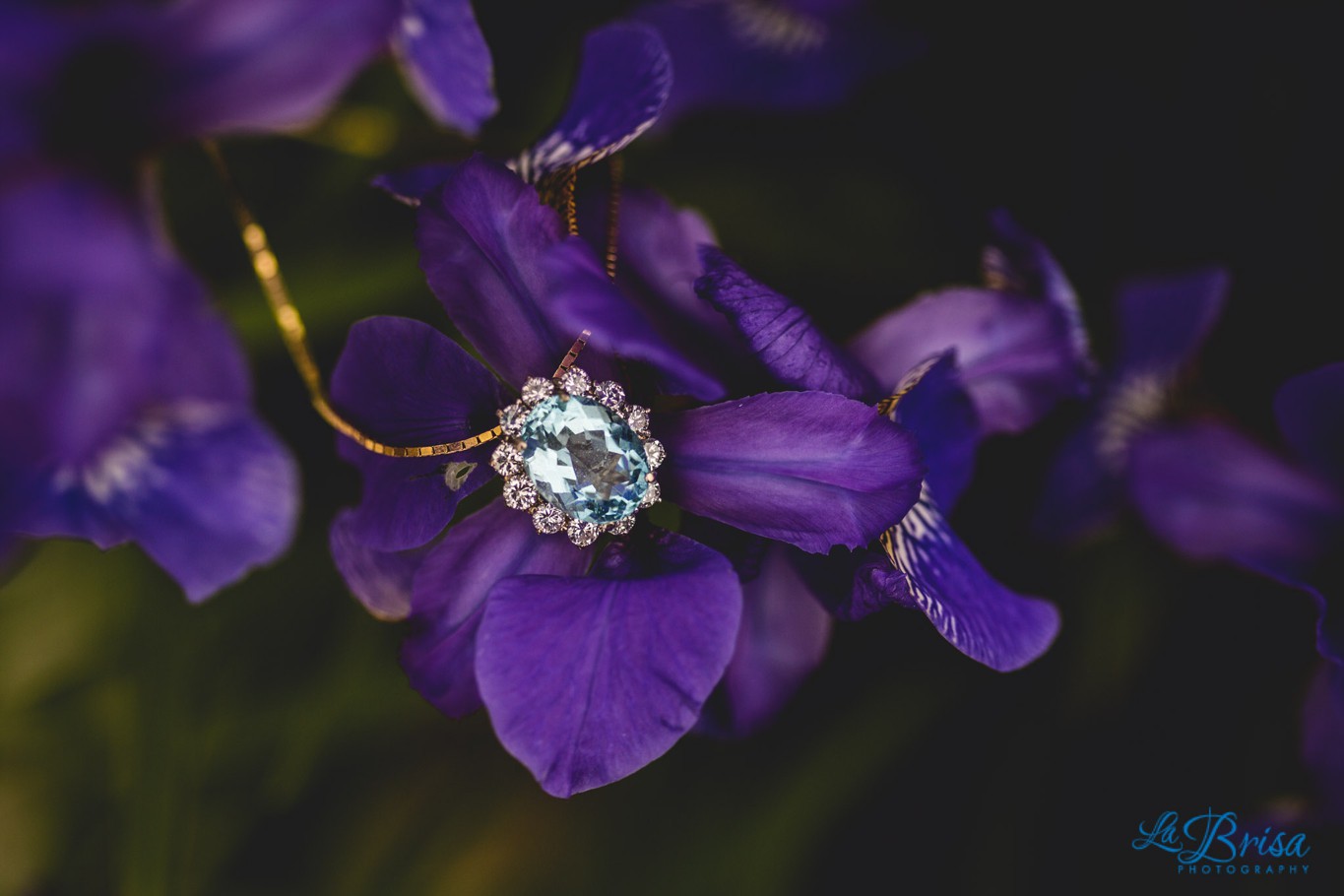 Bride's necklace on purple flower
