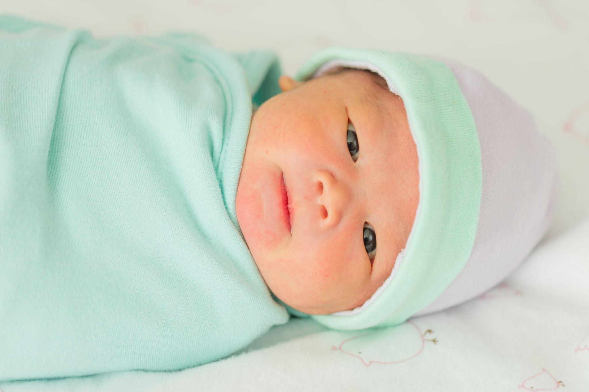 Newborn Baby Girl Family Portraits Chris Hsieh La Brisa Photography