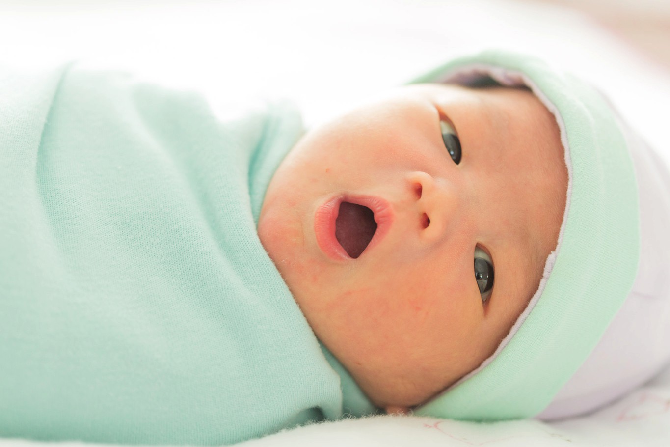 Newborn Baby Girl Family Portraits Chris Hsieh La Brisa Photography
