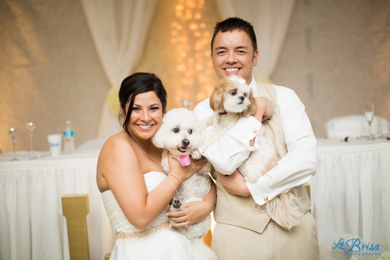 Wedding Bride Groom with Dogs Concordia Kansas La Brisa Photography Emma York