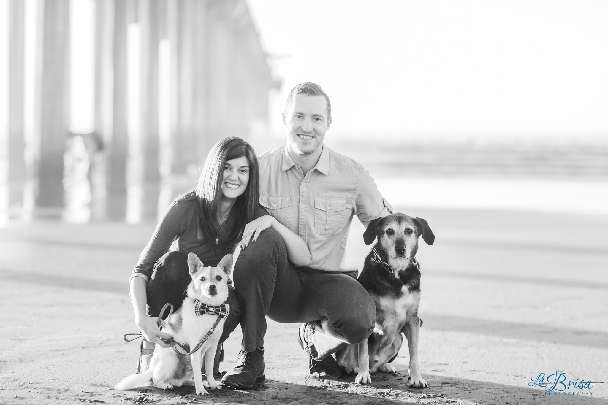 scripps dog family portraits