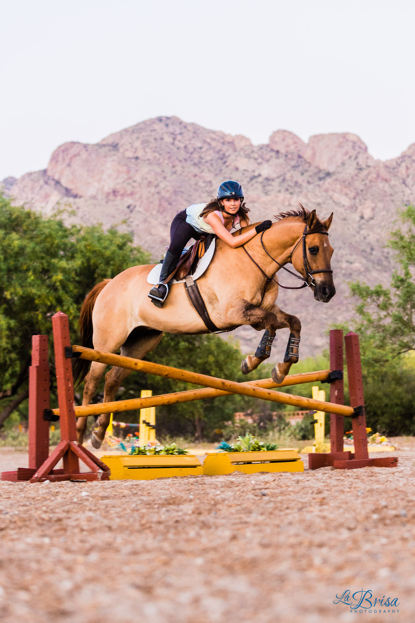Tucson Horse Ranch Senior Portrait