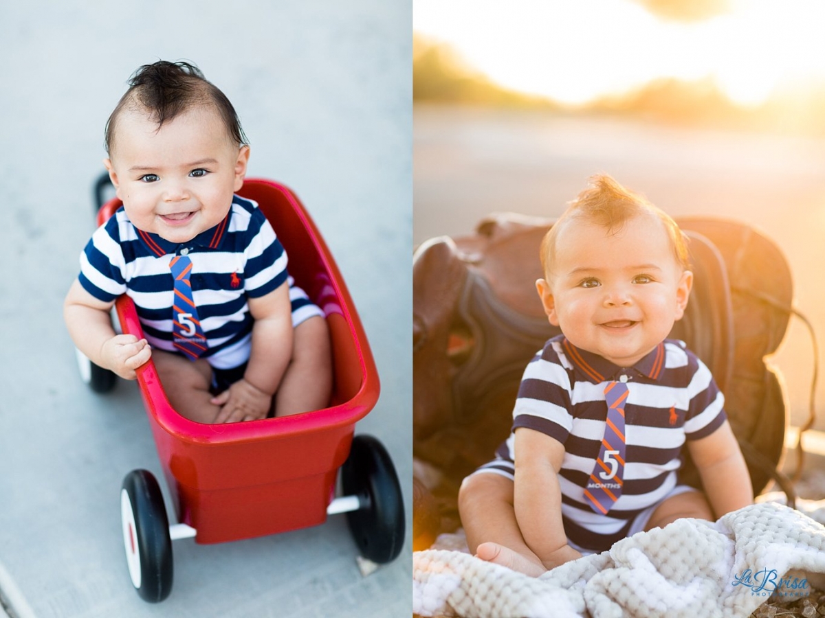 5 month old Baby Photographer