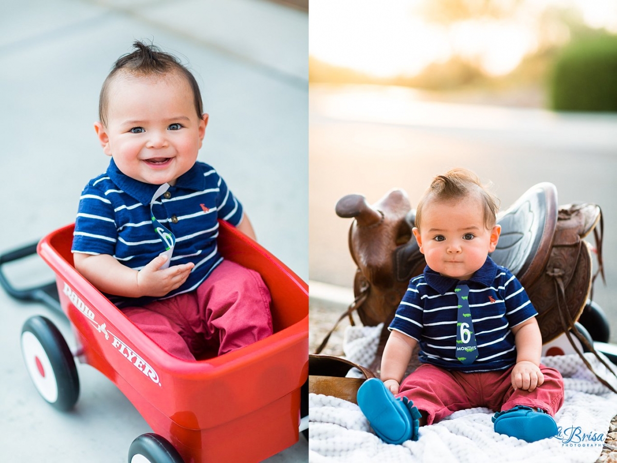 6 month old Baby Photographer