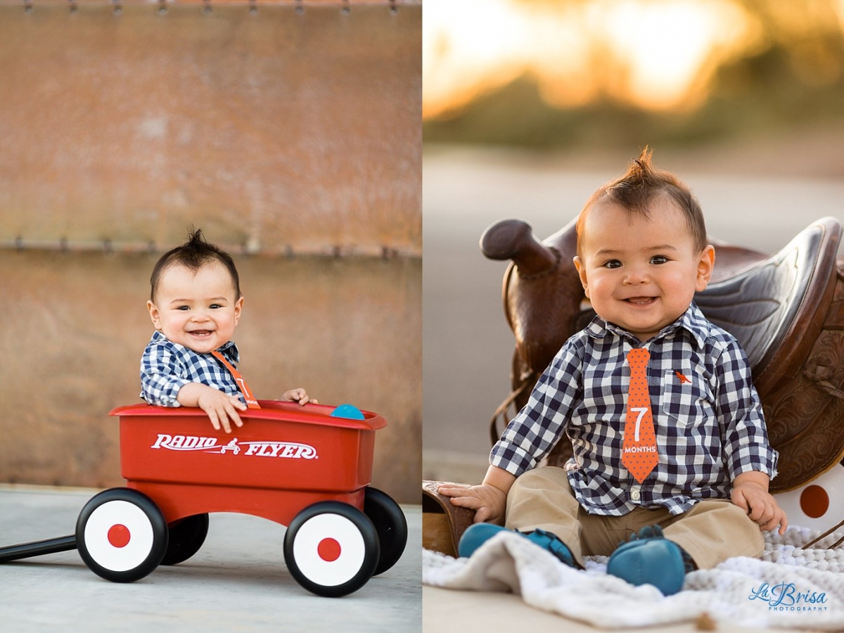 7 month old Baby Photographer