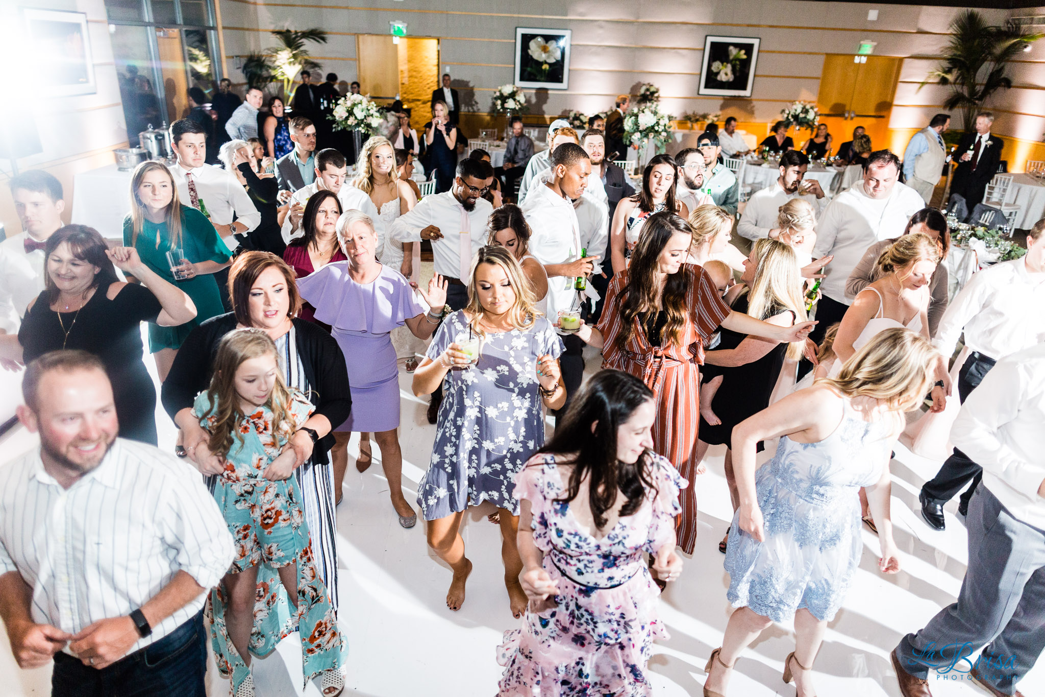 dancing dallas arboretum and botanical gardens wedding reception