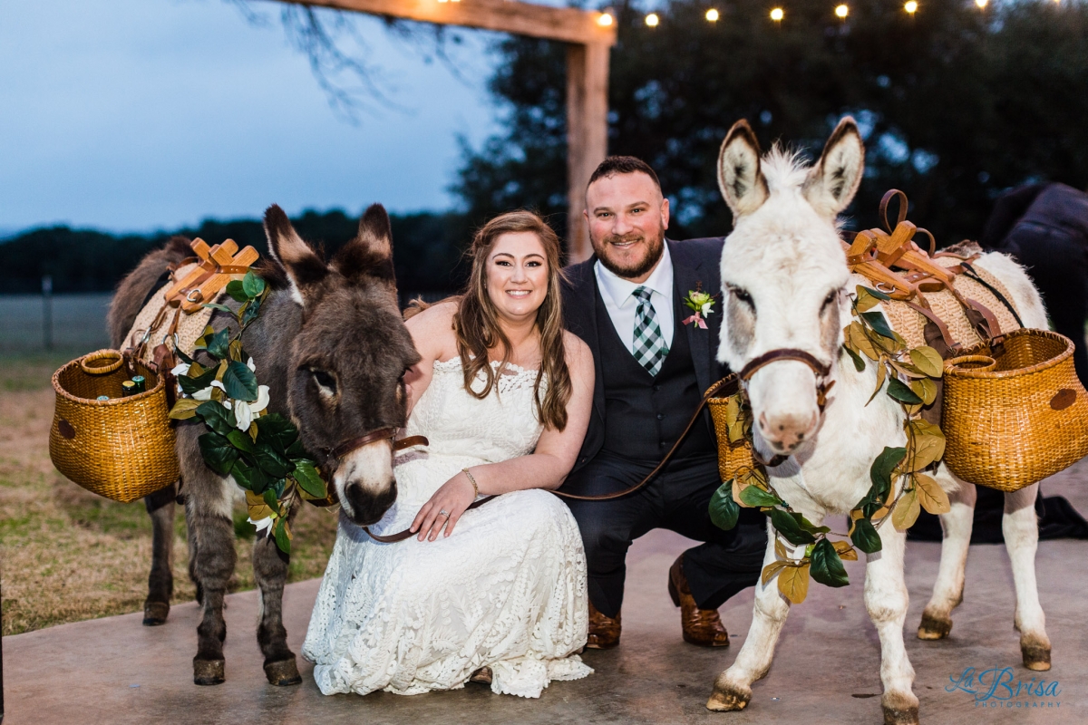 wedding donkey bartender
