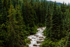 Tongass National Forest River