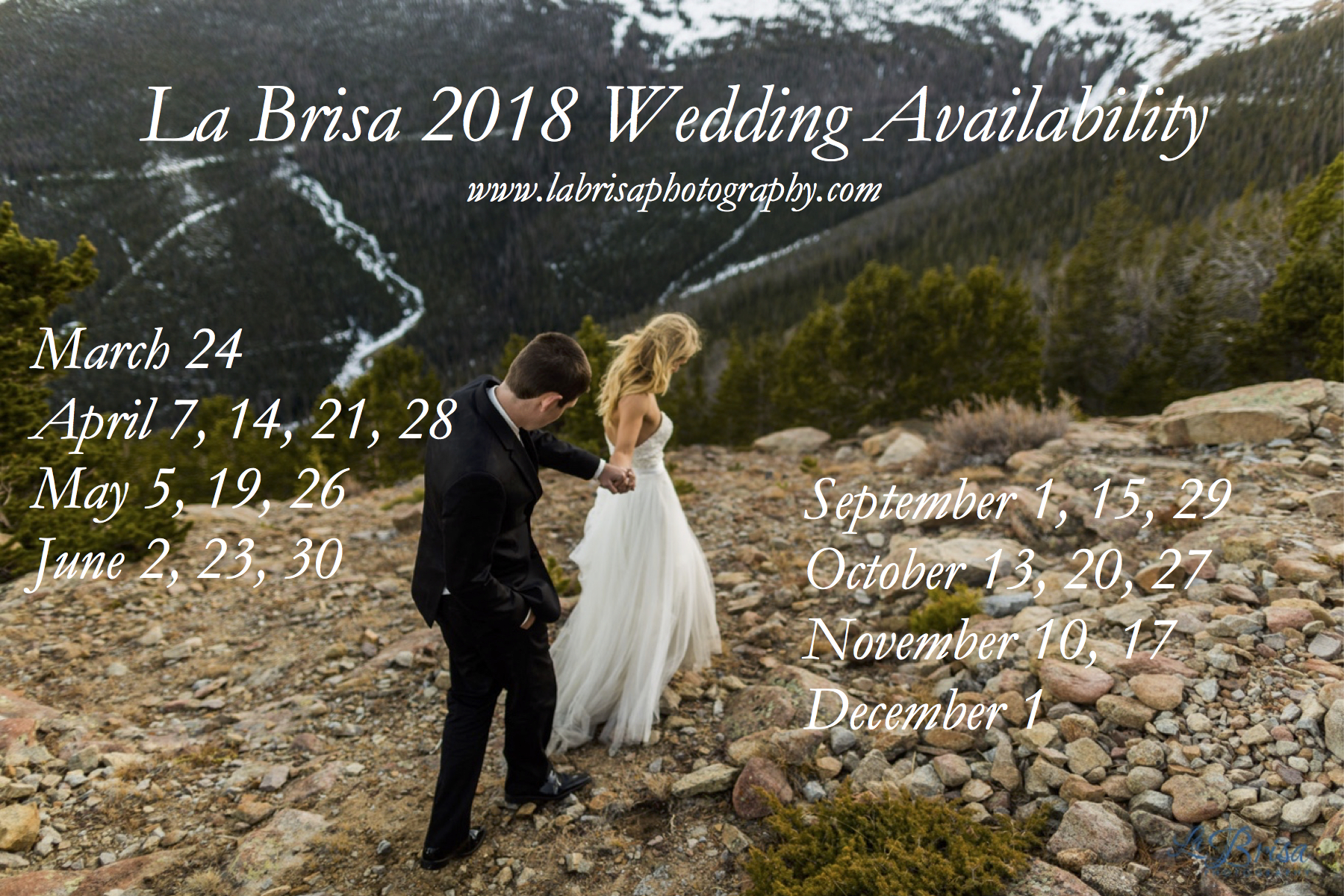2018 Wedding Photography Availability!