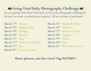 Going Viral Daily Photography Challenge